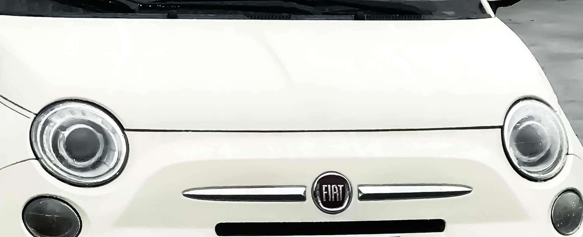 Fiat Service & Repair
